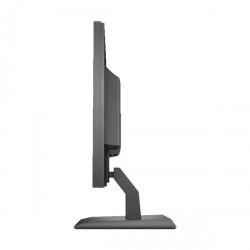 HP P204v 19.5 Inch HD LED Monitor (HDMI, VGA) (mmc)