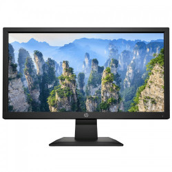 HP V20 19.5" HD+ TN Panel Monitor