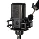 Lewitt RAY Large-Diaphragm Condenser Microphone
