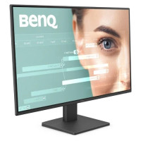 BenQ GW2490 23.8" 100Hz FHD IPS Monitor