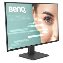 BenQ GW2490 23.8" 100Hz FHD IPS Monitor
